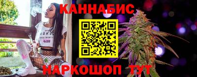 Альфа ПВП Малгобек